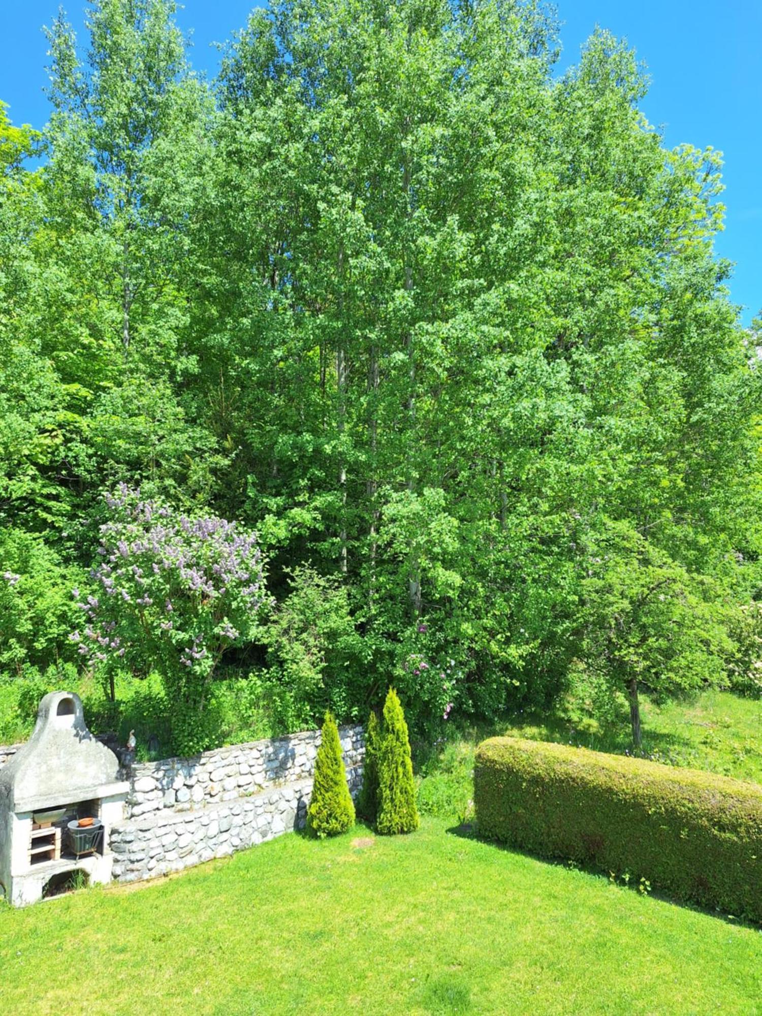 Haus Christine Apartment Mieders Bagian luar foto